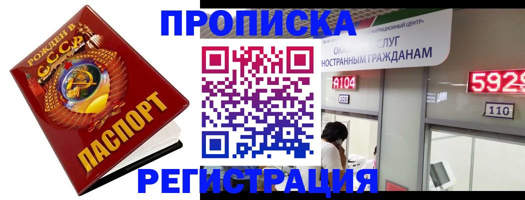 регистрация в Камчатской области